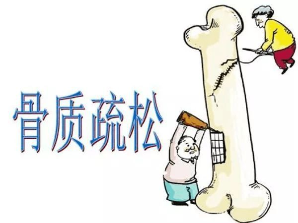 灵芝草的用处是什么，灵芝草的用处是什么作用（这句话有没有道理）