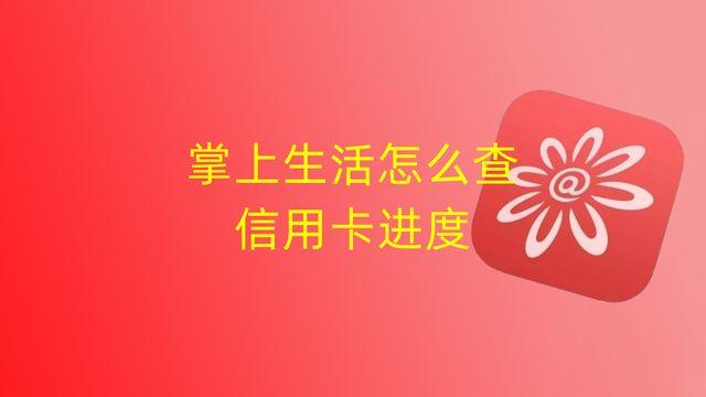 查询办卡进度商银行信用卡申请进度查询，办信用卡怎么查询进度（掌上生活怎么查信用卡进度）