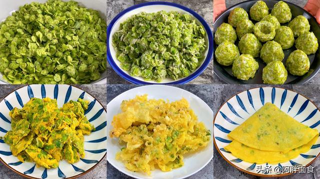 榆钱怎么吃，榆钱怎么吃榆钱的吃法技巧（宁愿不吃肉也要吃榆钱）