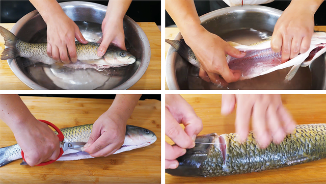 孕妇可以吃腐竹吗，孕妇能否吃腐竹（最适合孕妇吃的高蛋白食物排行）