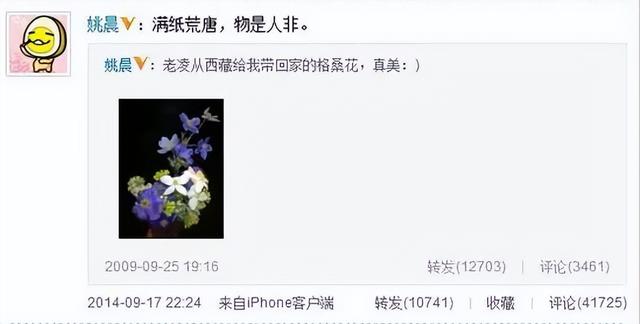 姚晨与凌潇肃，10年“离婚大战”，没有一个是赢家
