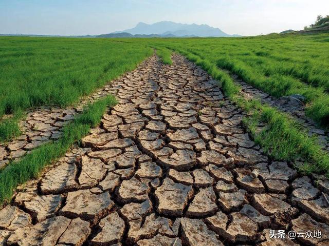 种粮大户利润下降，干旱、成本上涨、人工难请