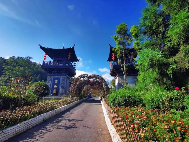 白马山在哪里，重庆白马山在哪里（武隆白马山）