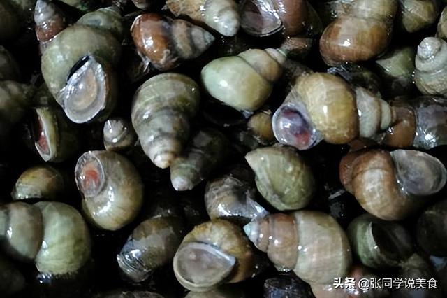 石头螺怎么吃，田螺哪里不能吃图解（我教你处理）