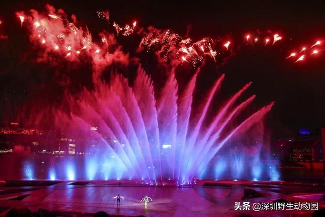 深圳世界之窗门票多少钱一张，深圳世界之窗晚上门票多少（动物园\u0026世界之窗/欢乐海岸水秀）
