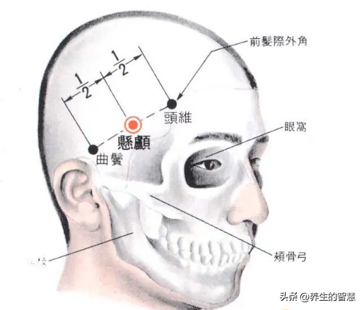 胆经的准确位置图，真人胆经穴位运行路线图（最完整的经络笔记）