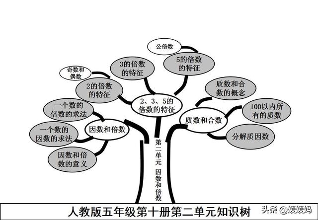 六下数学思维导图，六年级数学下册思维导图全部（人教版五年级数学下册各单元思维导图）