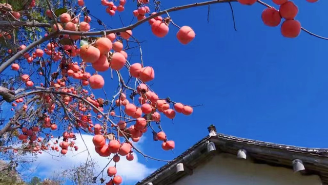 唐山旅游景点，唐山旅游景点排名前十滦州古城（这四个地点都不错）