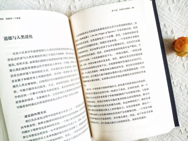道德在本质上是什么的特殊调节方式，道德的本质是什么（我们又该如何定义善恶）