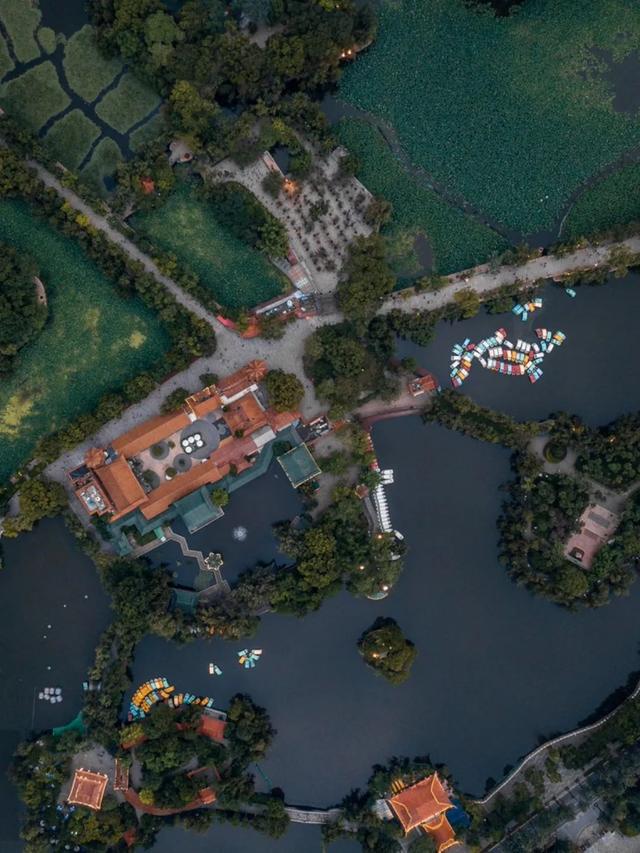 云南最好吃的野生菌在哪，中国最浪漫城市非她莫属