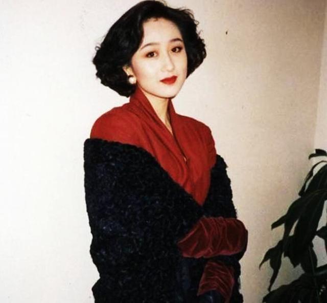 何鸿燊 利智,当年智利和何鸿燊(为什么总被传女儿之中有利智之女)