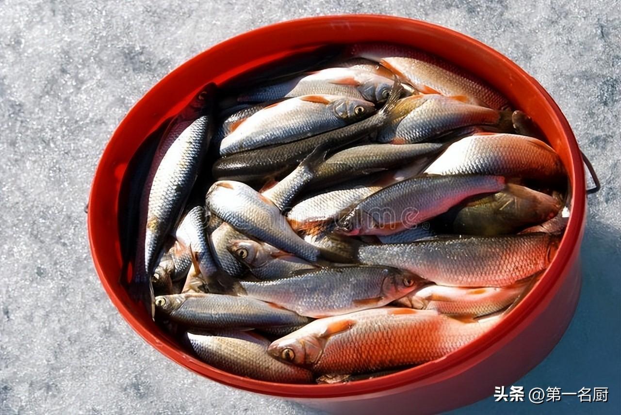 入秋鲤鱼美味做法大全：清蒸红烧糖醋，滋补暖身又开胃，家常宴客两相宜
