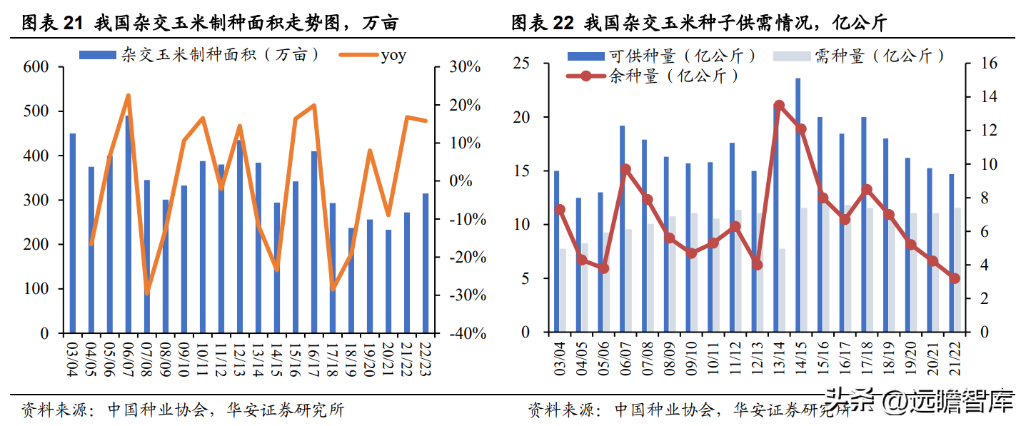 登海先锋种业（玉米种子领军企业）