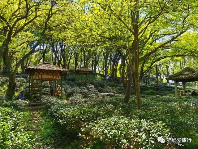苏州山塘街攻略，苏州山塘街美食最强攻略（周末轻松苏州游）