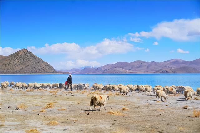 羊湖属于哪里，羊湖属于哪里管辖（遇见人间仙境羊湖最真实的模样）
