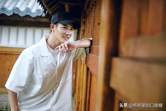 杨洋的作品排序，赵露思第八、任嘉伦第五