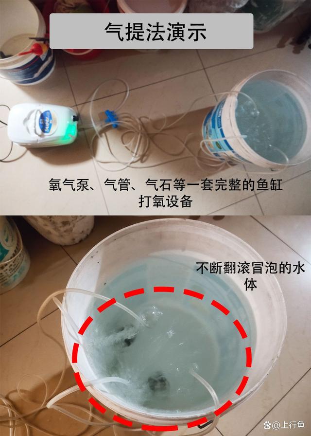 鱼缸水泵的正确使用方法，鱼缸潜水泵怎么用（自来水养鱼快速除氯气）