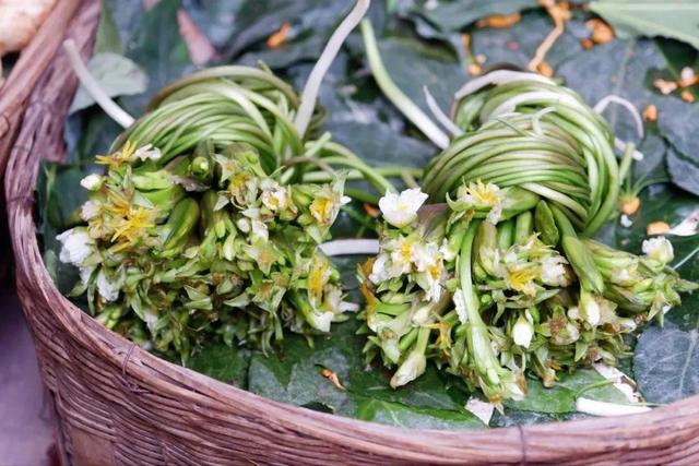 云南最好吃的野生菌在哪，中国最浪漫城市非她莫属