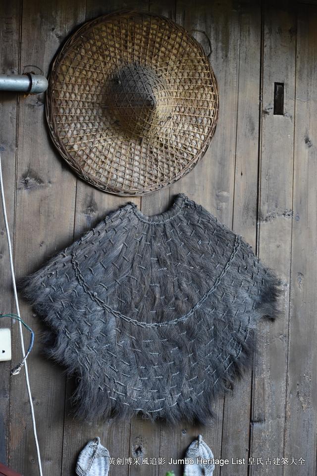 黔南布依族苗族州，娃娃鱼图片大全大图