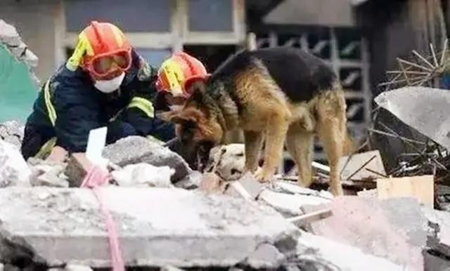 汶川地震最牛三轮车事迹报道，14年前就是他们从莒县开着三轮车赶到汶川抗震救灾