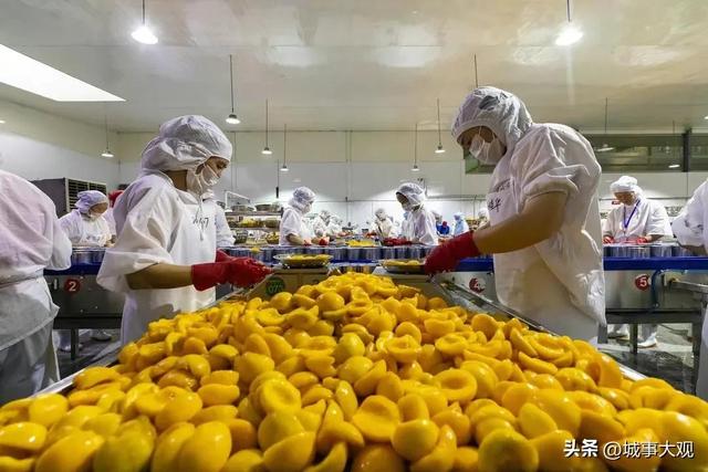中国三大黄桃产地，中国最大的黄桃产地（盘点一下国内有哪些黄桃罐头之都）