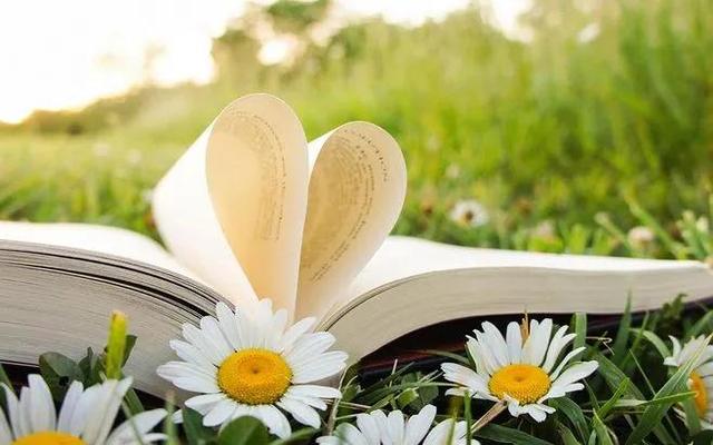 地开头的四字成语，开头是地的四字成语（成语之天地）