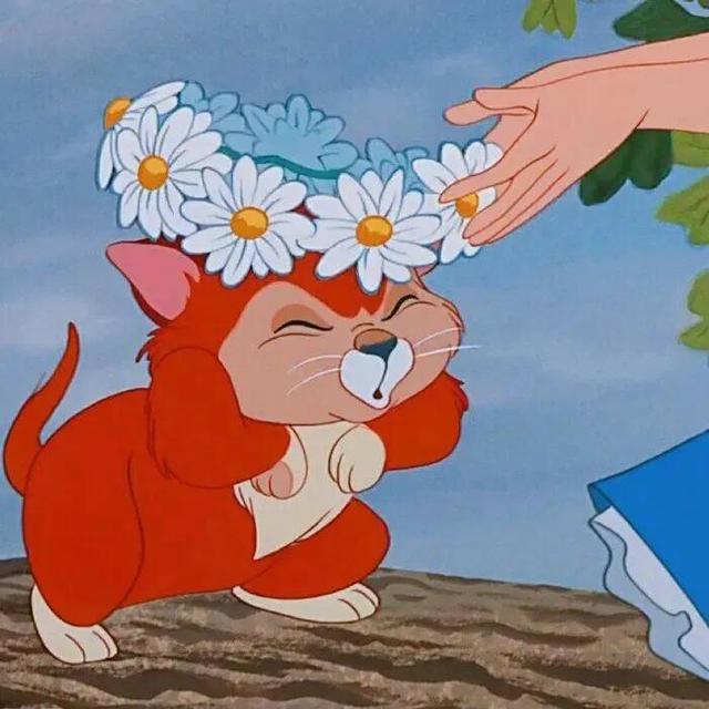 我只想好好爱你，我只想好好爱你英文，微信头像（我想永远保护你）