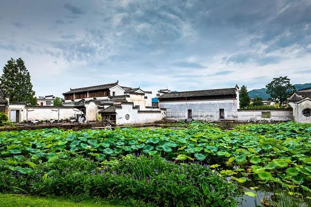 各地荷花景点，今年夏天，去这些地方拍荷花