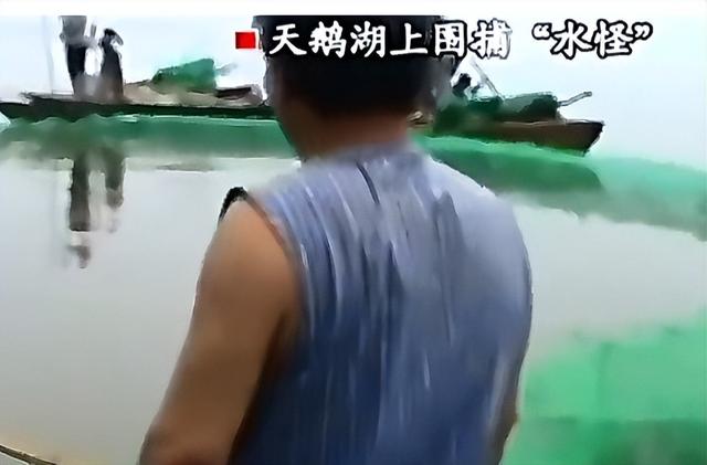 （笑的很好看的头像 癞蛤蟆扮青蛙长得丑玩的花。微信，（笑的很好看的头像） 癞蛤蟆扮青蛙长得丑玩的花。（2011年中国山东省惊现“水怪”）