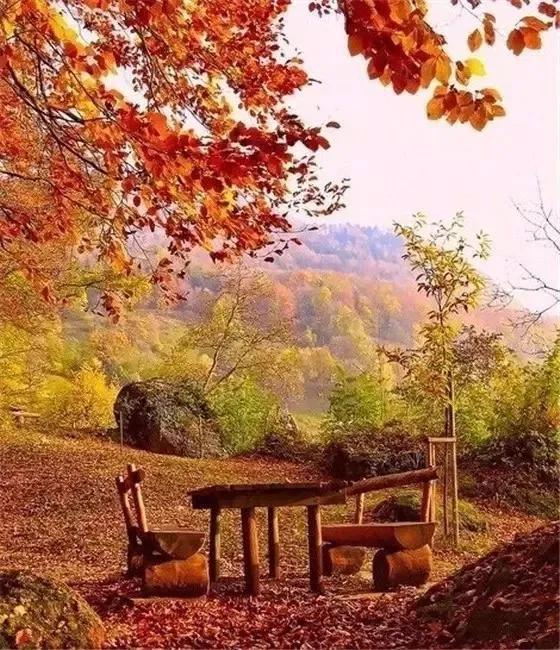 秋天是一个什么样的季节，秋天是一个什么样的季节写一段话（分享绝美秋色：叠翠流金）