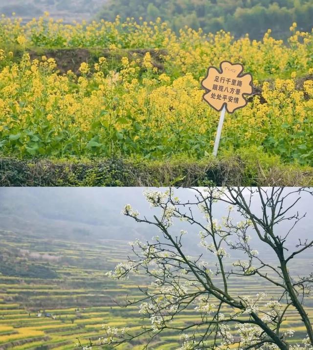 上海周边自驾游攻略，上海自驾游推荐景点（上海周边7大小众旅行目的地）