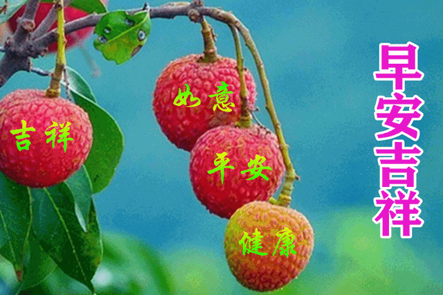 未来可期的唯美句子，未来可期下一句怎么接（早安祝您安康快乐）