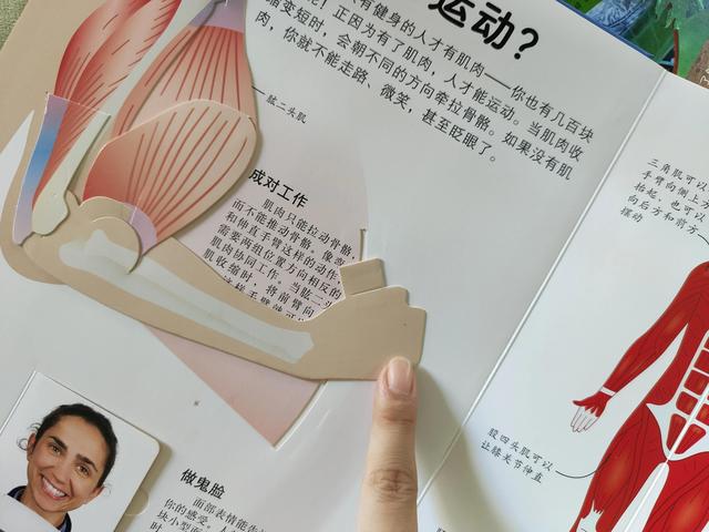 有哪些女性必须知道的性知识，有哪些女性必须知道的性知识和技能（关于人体揭秘，这本书太好玩了）