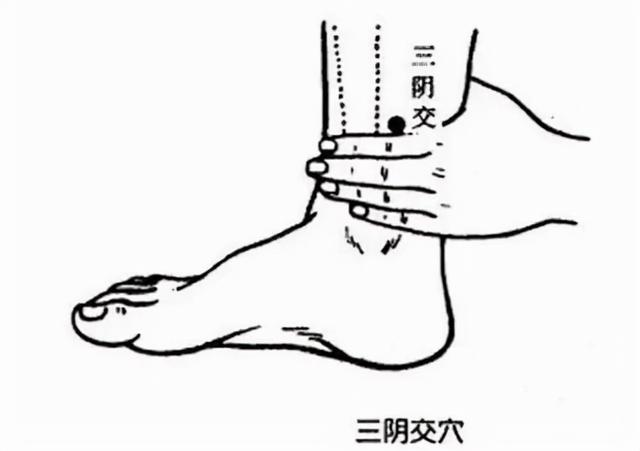 卵巢囊肿如何治疗最好，卵巢囊肿怎么治疗效果最好（老中医讲卵巢囊肿）
