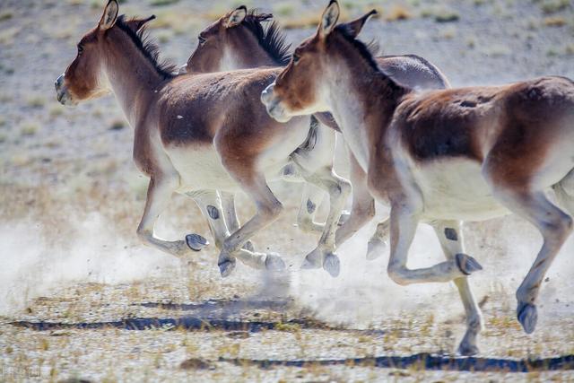 世界八大恐怖禁区，世界八大禁地是哪（揭秘那些人类无法踏进的领域）