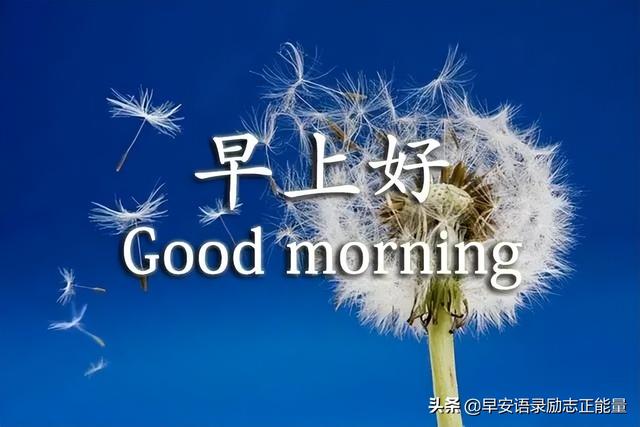 发自拍照的励志语录，适合发自拍照的句子正能量（早安励志正能量精辟短句子）