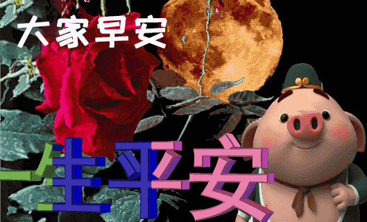 未来可期的唯美句子，未来可期下一句怎么接（早安祝您安康快乐）