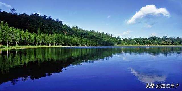 粤南地区包括哪些城市，珠三角是指哪几个城市（藏着百年法租界和石头海）