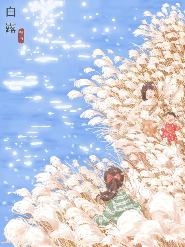 衤字旁的笔顺视频，衣字的笔顺怎么写（白露，露从今夜白，月是故乡明）