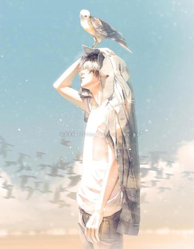 光影美，光影美学概念（淡淡的色彩表达颇具美感图片）