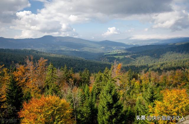 悲痛欲绝的伤感，悲痛欲绝的伤感情歌（就会悲痛欲绝的三大星座女图片）