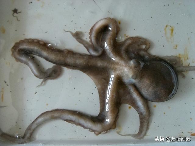 辽宁省有哪些市，锦州附近都有哪些城市（全国地理标志农产品目录系列之辽宁省——）