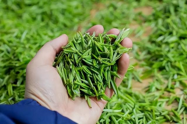 潢川特色餐馆推荐，潢川美食有哪些（这几种信阳土特产闻名全国）