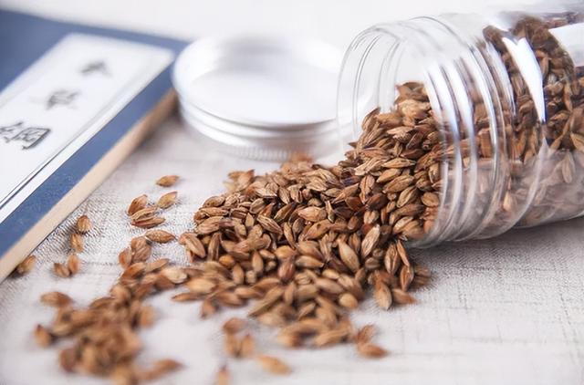 大麦茶是什么麦子，女性喝大麦茶的好处和坏处（少喝“2酒”、多饮“4茶”）