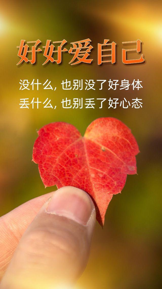 生活唯美话语，生活唯美的话（把平凡的生活过出诗意）