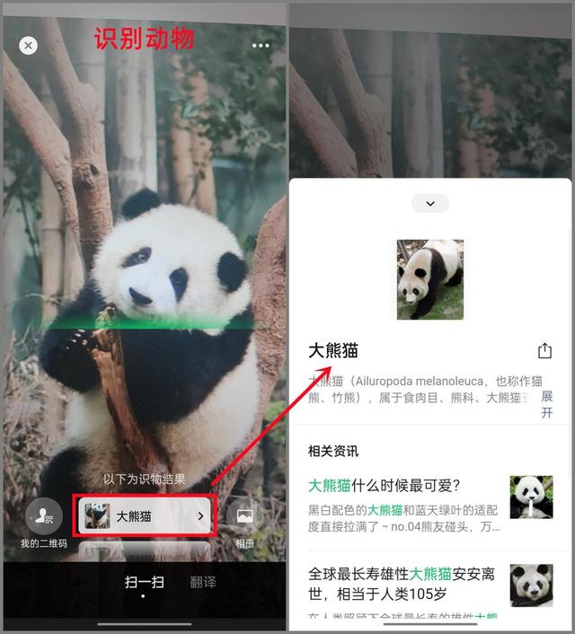 微信“扫一扫”竟隐藏着这么多玩法，果然是一款“扫描仪”