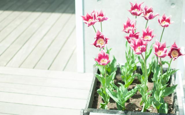 男人什么时候会有生理反应，男生是对谁都会起反应吗（男人的这些“生理反应”）