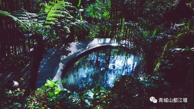 青城山旅游，青城山旅游图（赏千年银杏、观层林尽染、泡山间温泉......顶奢配置慢生活尽在青城山～）