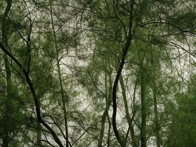 摄影的意义与价值，摄影对孩子意义与价值（戴显婧：从摄影师到导演）