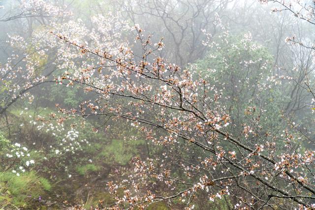 江西武功山几月份去最好，武功山适合几月份去（武功山又到了一年一度最美的季节）